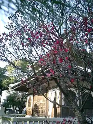 本覚寺のその他建物