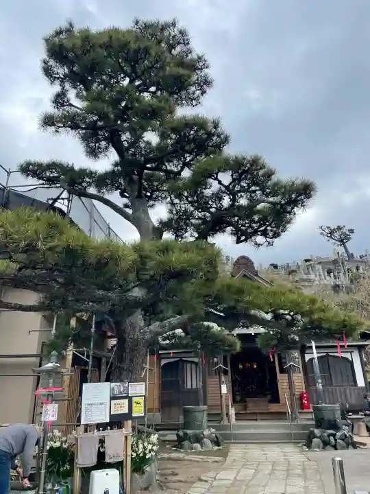 本成寺の{uncategorized: "未分類", other: "その他", undefined: "問題あり", building: "その他建物", grave: "お墓", sacred_gate: "鳥居", guardian: "狛犬", statue: "像", buddha: "仏像", history: "歴史", nature: "自然", garden: "庭園", animal: "動物", pagoda: "塔", temizu: "手水舎", mountain_gate: "山門・神門", sanctuary: "本殿・本堂", subordinate: "末社・摂社", art: "芸術", scenery: "景色", jizo: "地蔵", ema: "絵馬", goshuin: "御朱印", omikuji: "おみくじ", items: "授与品その他", amulet: "お守り", goshuincho: "御朱印帳", eats: "食事", festival: "お祭り", votive_dance: "神楽", shichigosan: "七五三参", wedding: "結婚式", experience: "体験その他", initially: "初詣", around: "周辺", anti_infection: "感染症対策"}