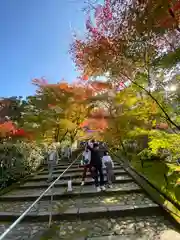 禅林寺（永観堂）(京都府)