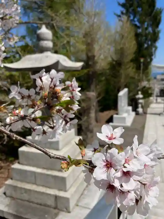 住吉神社の自然