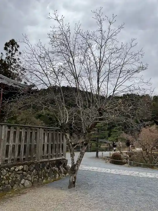 永保寺(岐阜県)