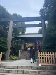 東京大神宮の鳥居