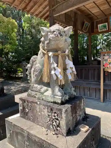 垣田神社の狛犬
