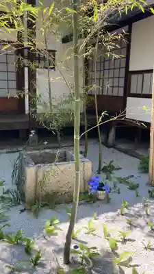 西来院(京都府)