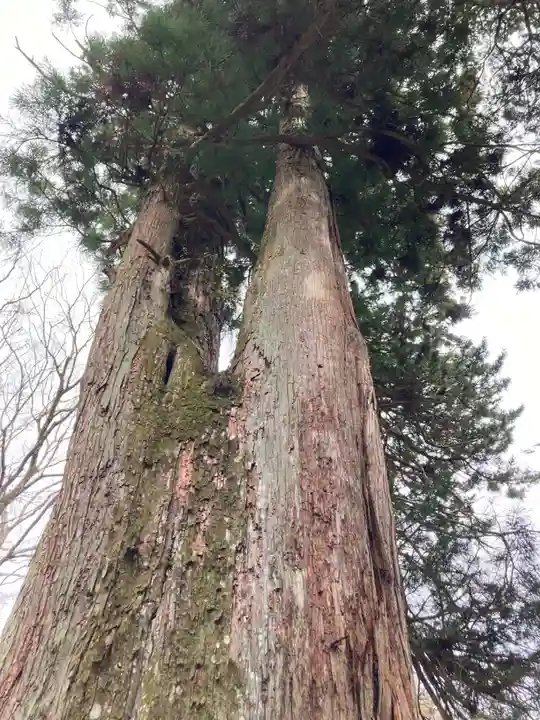 談山神社(奈良県)