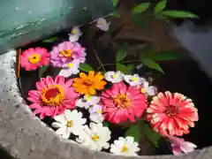 今市報徳二宮神社の手水