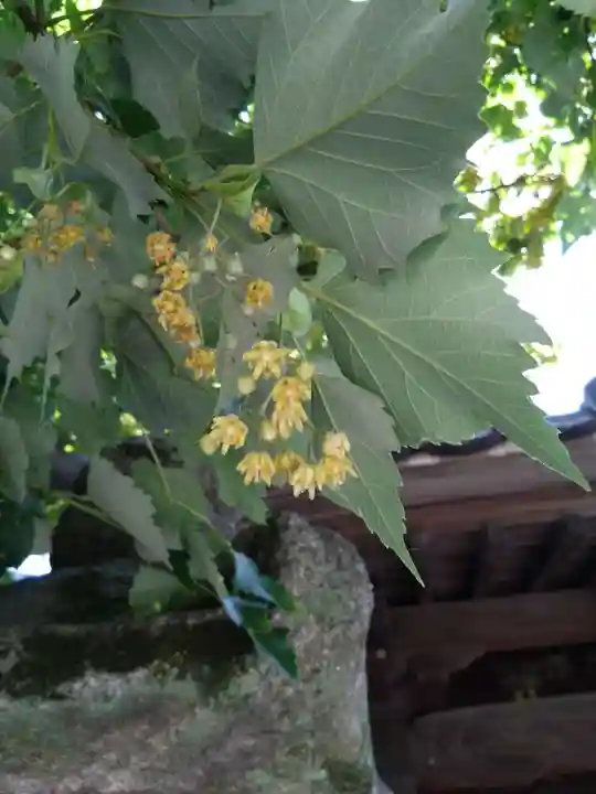 恵光院(福岡県)