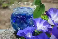 阿邪訶根神社の手水舎