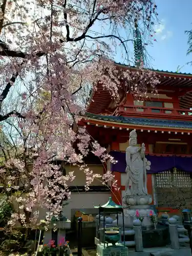 新井薬師（梅照院）の本殿・本堂