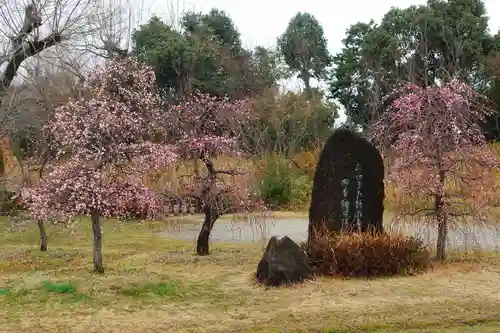 柳澤神社の庭園
