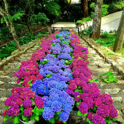 普門寺(切り絵御朱印発祥の寺)(愛知県)