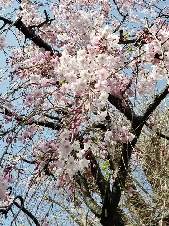 東光寺(東京都)