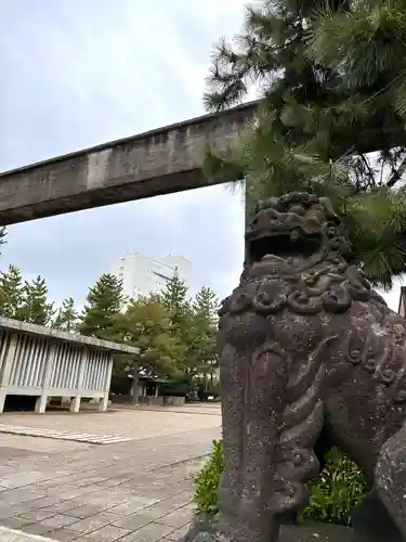 福井神社の狛犬