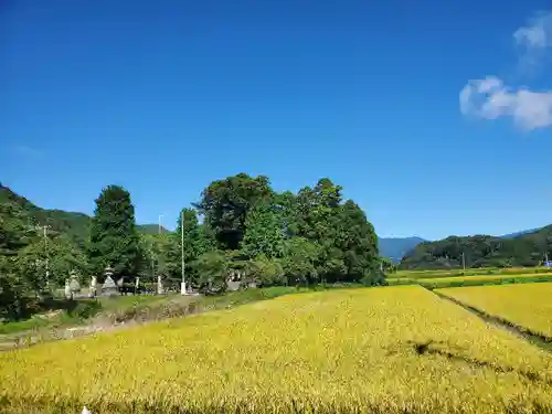 高司神社〜むすびの神の鎮まる社〜の景色