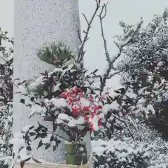 豊景神社の建物その他