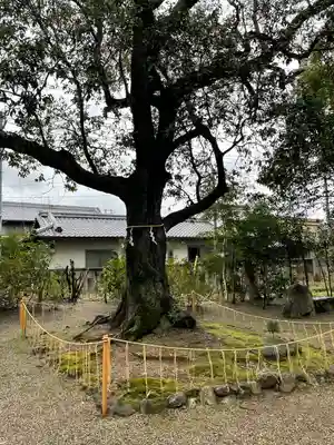 賣太神社(奈良県)