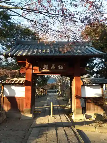 清善寺の山門