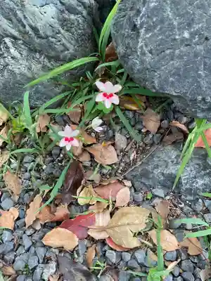 川原神社(愛知県)