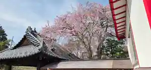 差出磯大嶽山神社 仕事と健康と厄よけの神さま(山梨県)(2025年04月08日(火) 15時36分42秒投稿)