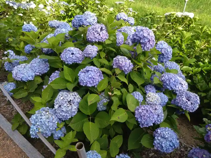 二本松寺(茨城県)