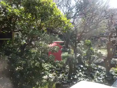 海蔵院(神奈川県)