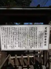 専修寺の歴史