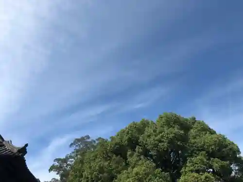 大原八幡宮(大分県)