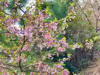 長倉神社の自然