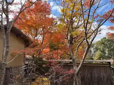 安楽寺(京都府)