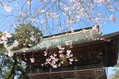 竹駒神社の山門・神門