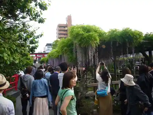 亀戸天神社の景色