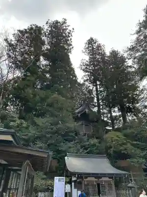 天河大辨財天社の{uncategorized: "未分類", other: "その他", undefined: "問題あり", building: "その他建物", grave: "お墓", sacred_gate: "鳥居", guardian: "狛犬", statue: "像", buddha: "仏像", history: "歴史", nature: "自然", garden: "庭園", animal: "動物", pagoda: "塔", temizu: "手水舎", mountain_gate: "山門・神門", sanctuary: "本殿・本堂", subordinate: "末社・摂社", art: "芸術", scenery: "景色", jizo: "地蔵", ema: "絵馬", goshuin: "御朱印", omikuji: "おみくじ", items: "授与品その他", amulet: "お守り", goshuincho: "御朱印帳", eats: "食事", festival: "お祭り", votive_dance: "神楽", shichigosan: "七五三参", wedding: "結婚式", experience: "体験その他", initially: "初詣", around: "周辺", anti_infection: "感染症対策"}