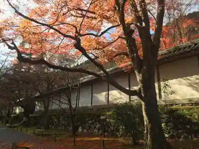 二尊院のその他建物