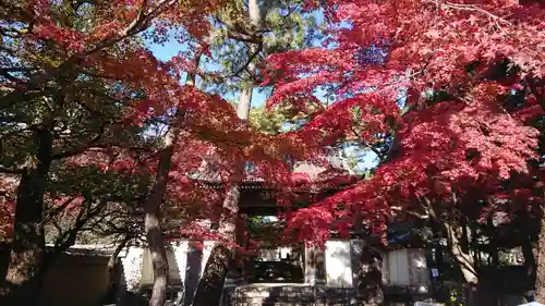 三寳寺の自然