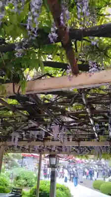 金蛇水神社(宮城県)