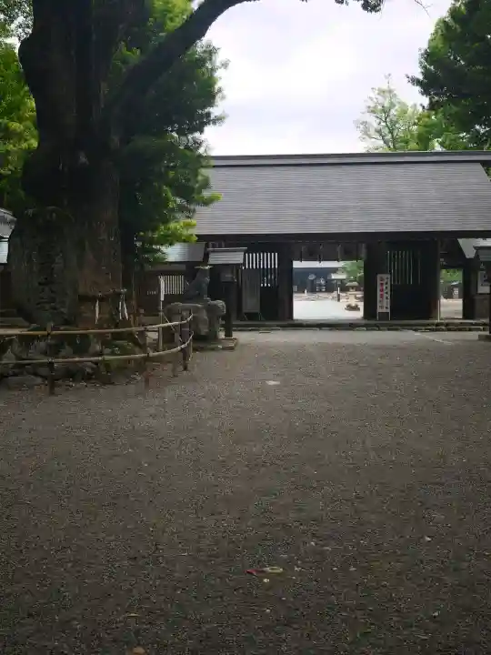 伊曽乃神社(愛媛県)