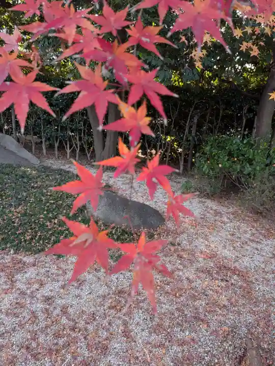 高円寺(東京都)