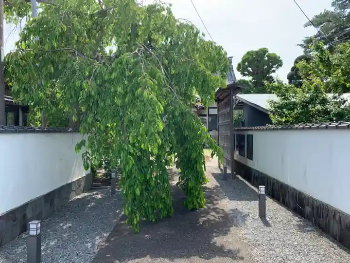 法性寺(千葉県)