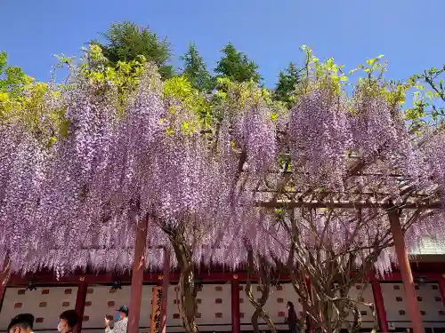 笠間稲荷神社の庭園