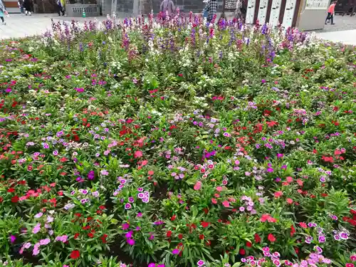 成田山新勝寺の自然