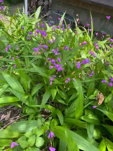 世尊寺(奈良県)