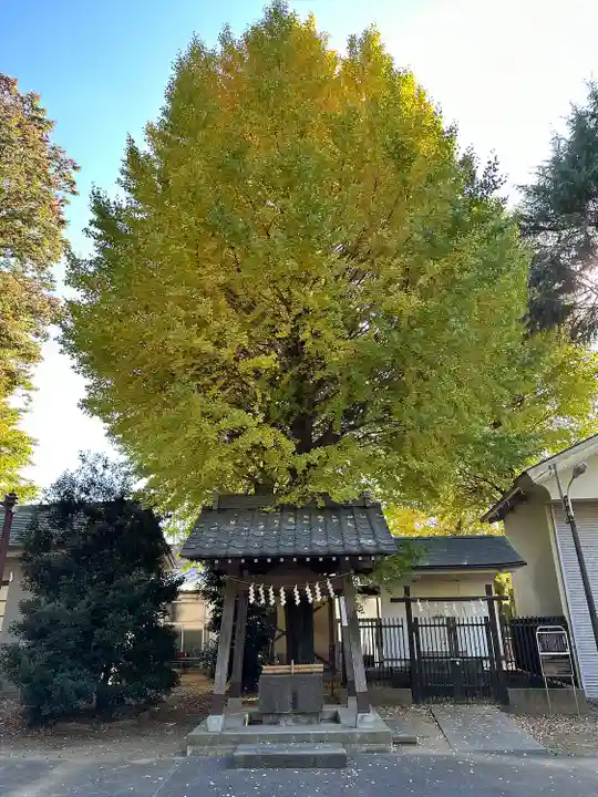 小野神社(東京都)