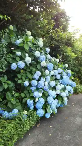 城山富士浅間神社の庭園