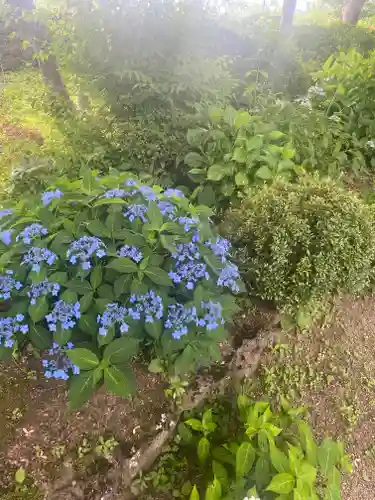 隆国寺(兵庫県)