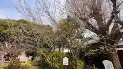 大報恩寺（千本釈迦堂）(京都府)