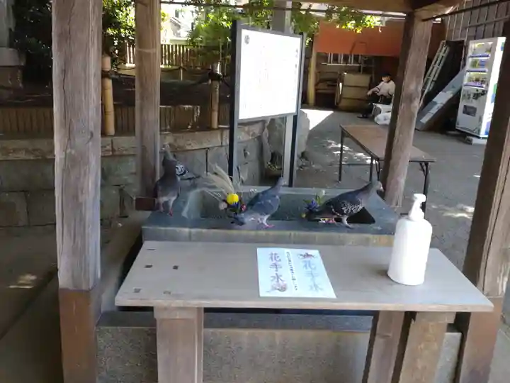 鶴嶺八幡宮(神奈川県)