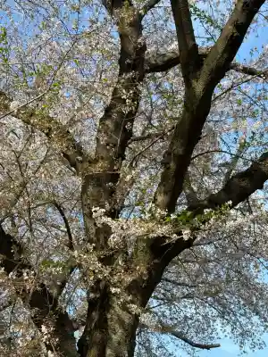 東蕗田天満社(茨城県)