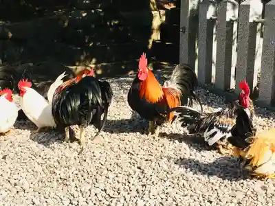 石上神宮(奈良県)