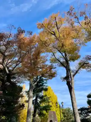 東京競馬場馬頭観音(東京都)