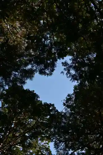 向山神社(宮崎県)
